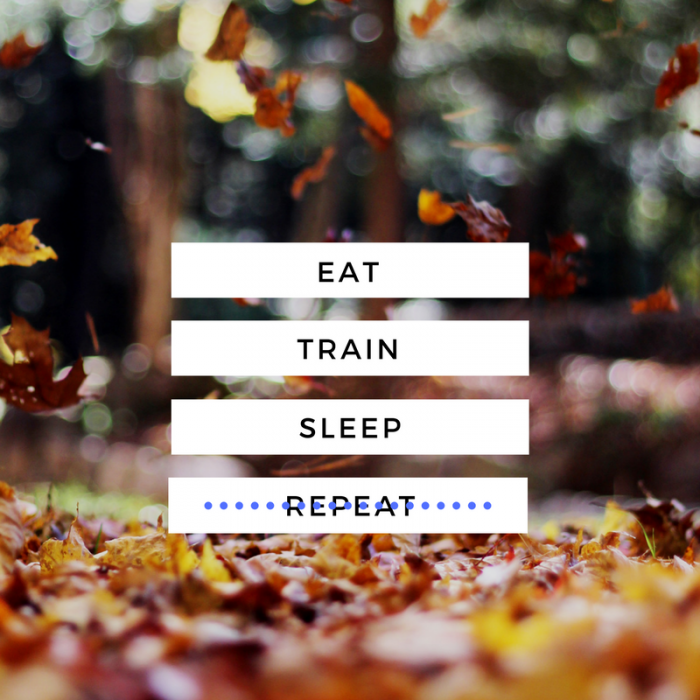 eat-train-sleep-repeat